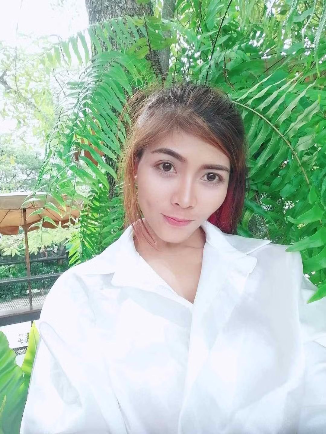 yayaDK (32)