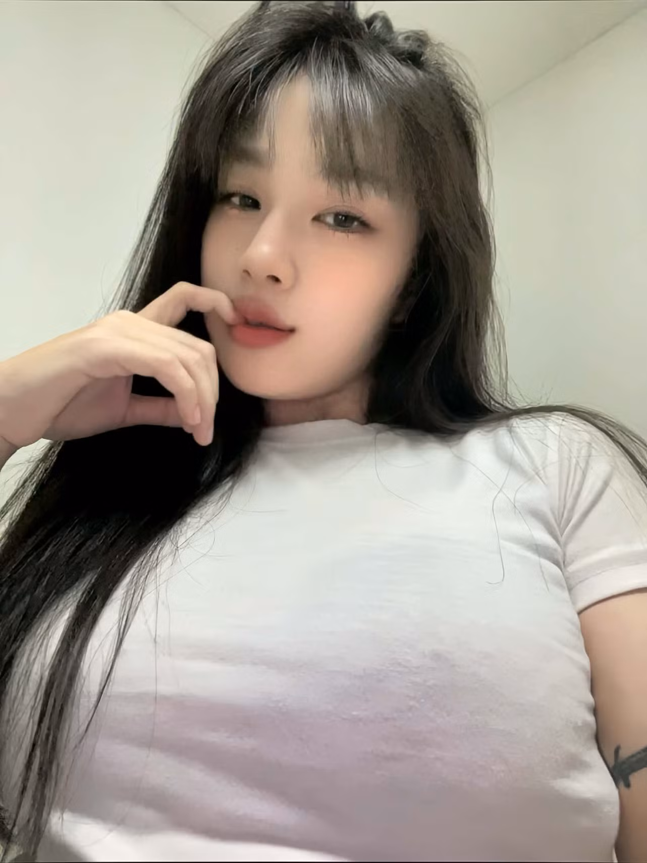 Papimpl (21)