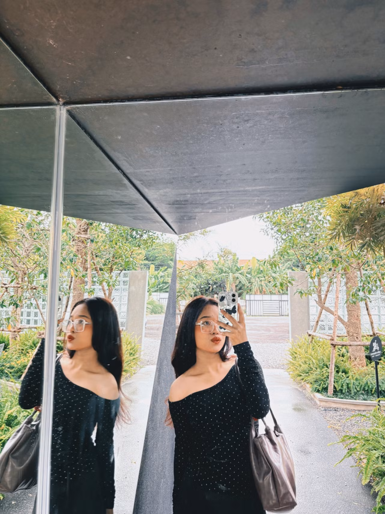 Ranidaa (23)