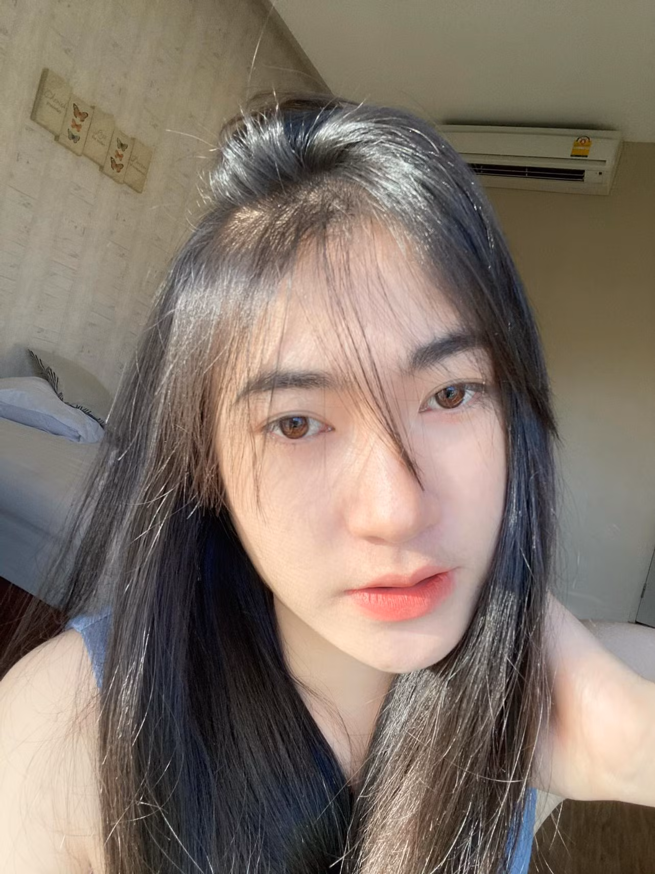 PreeePreee (25)